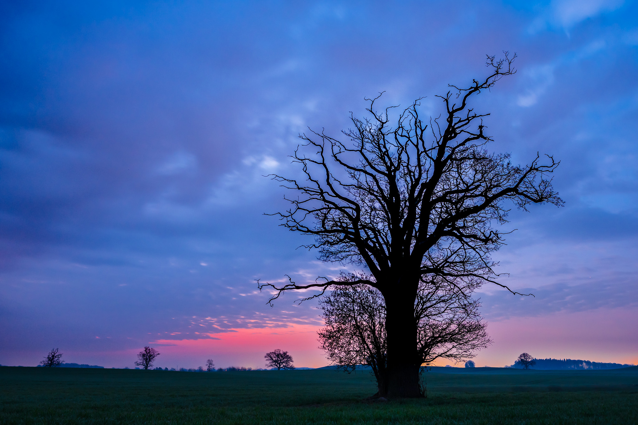 Sierhagen. Dies ist eher ein Notfoto. Eigentlich wollte ich die Milchstraße mit bizarren Bäumen im Vordergrund fotografieren. Aber Wolken liessen das Projekt scheitern. 