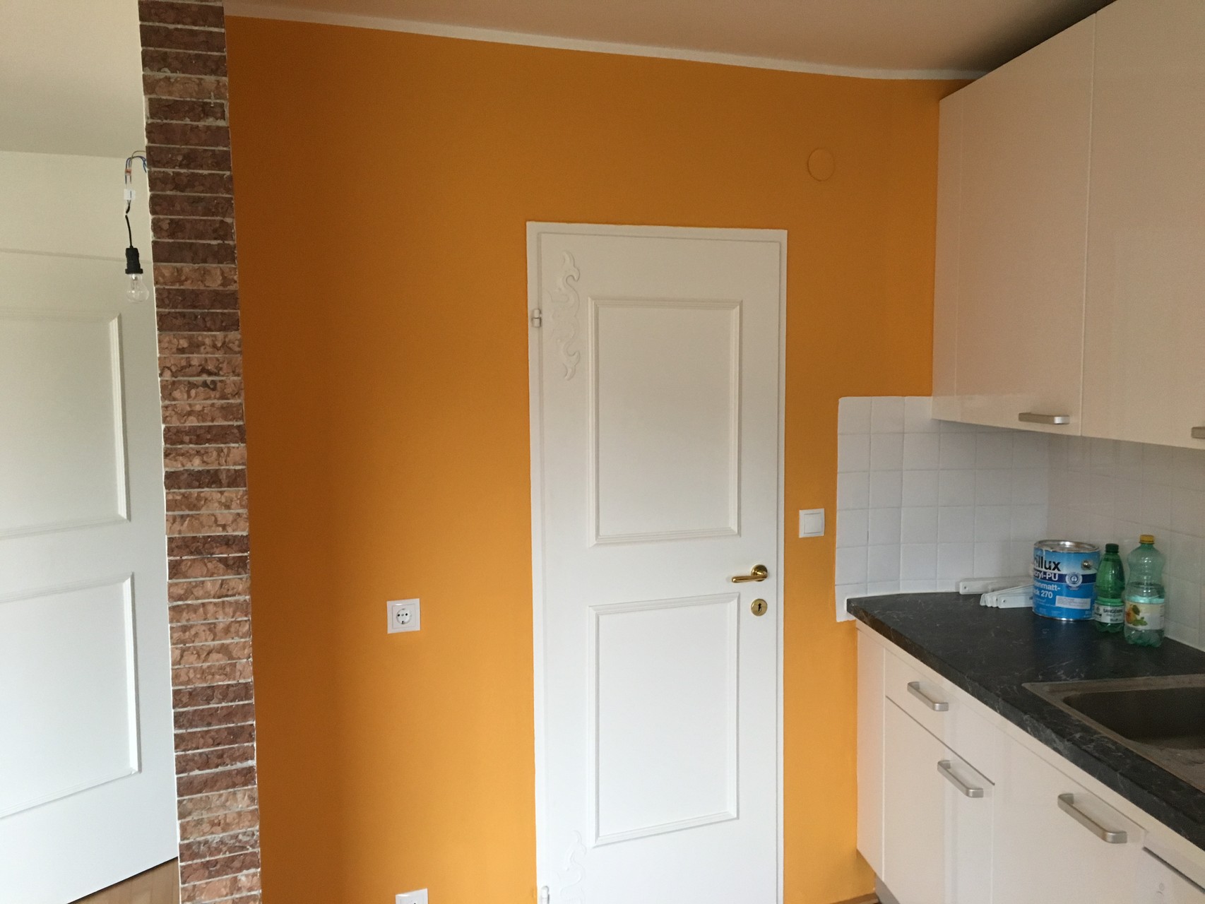 Sanierung von Wohnräume & Türen / Küche (Färbig)