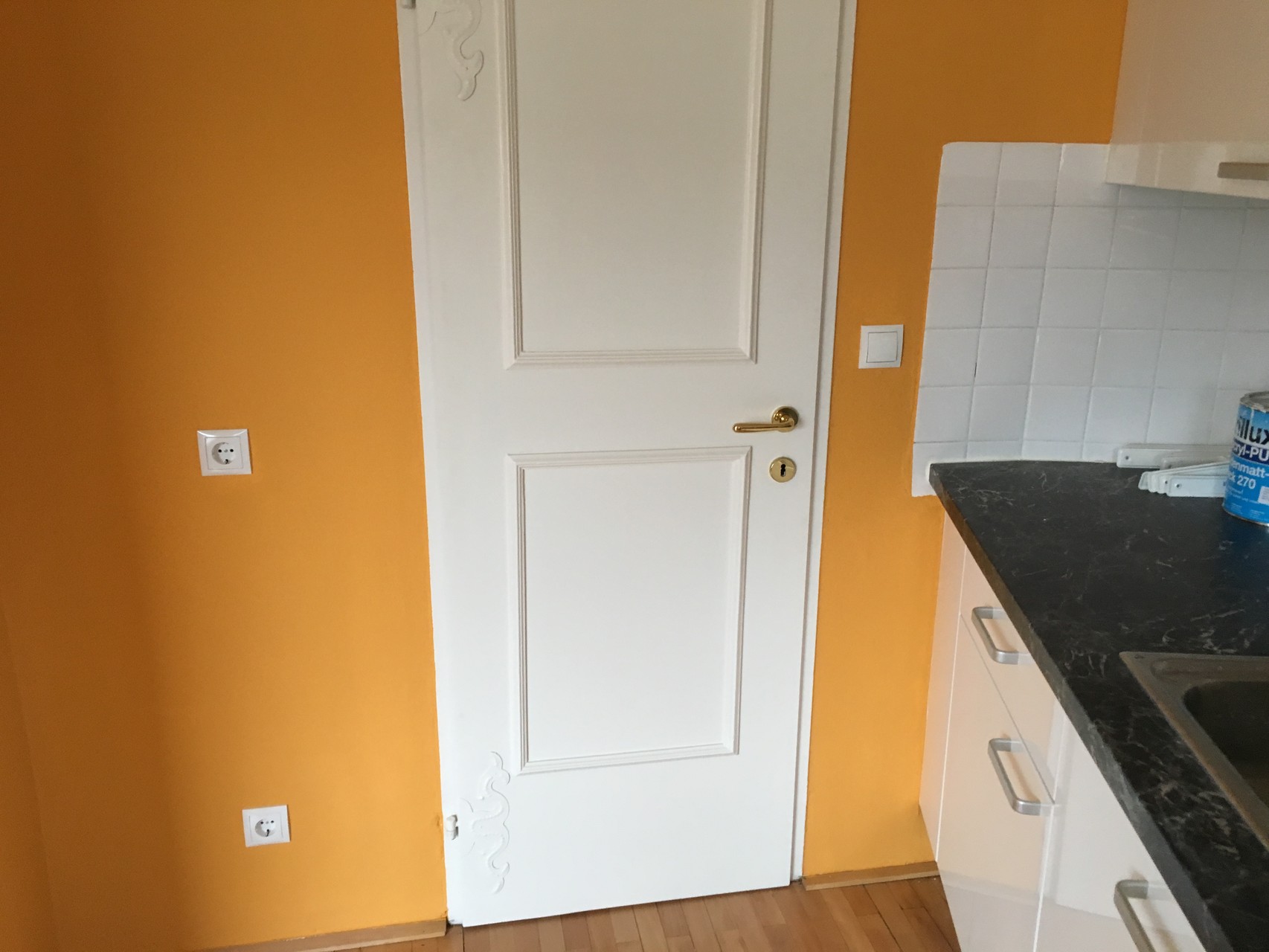 Sanierung von Wohnräume & Türen / Küche (Färbig)