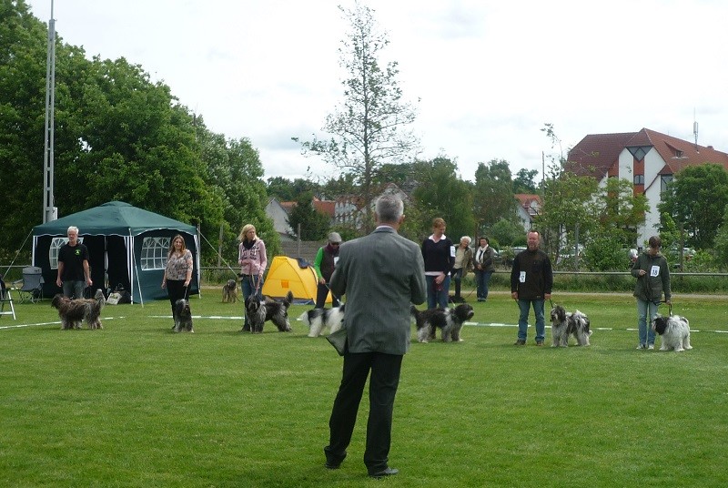 rechts Antje Bessie, Anna, Anton, Arthur, Arjen Oskar, Caatje, Tobi