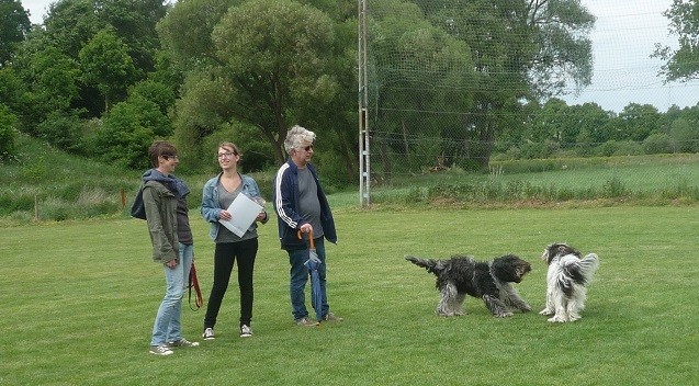 Simone, Louise und Stefan mit Banba und Antje Bessie