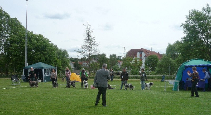 rechts Antje Bessie, Anna,Arthur, Arjen Oskar, Caatje, Tobi