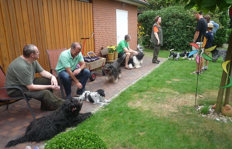 v.l.n.r. Bram, Anna, Ninja, Willma, Abby, Amara