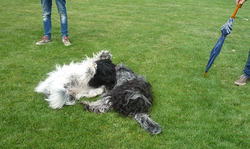 links Antje Bessie, rechts Banba