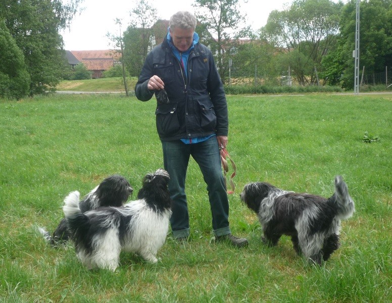 links Bootsmann, mitte Arthur, rechts Arjen Oskar