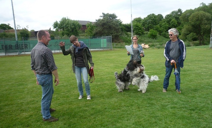 Banba und Antje Bessie am Toben