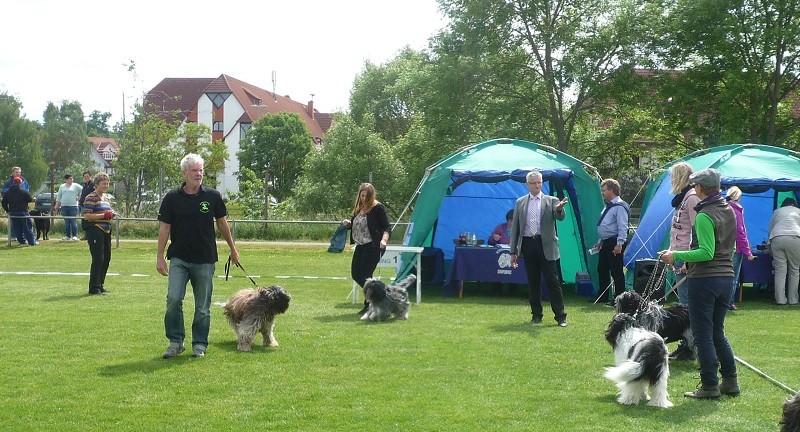 links Tobi, Caatje, rechts Arthur