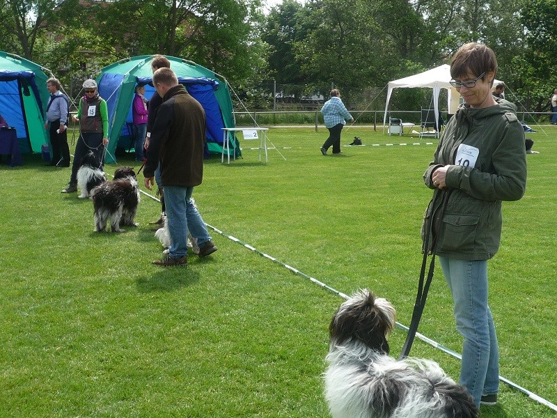 vorn Bessie, Anton, Arthur