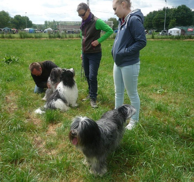 vorn Caatje, hinten Anna mit Arthur