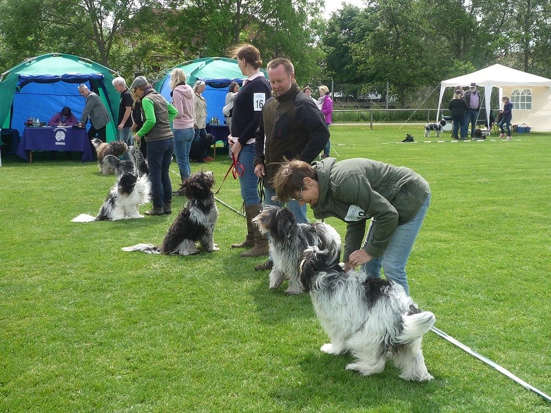 vorn Antje  Bessie, Anna, Anton, Arthur