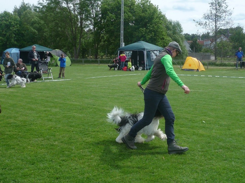 vorn Arthur, Antje Bessie