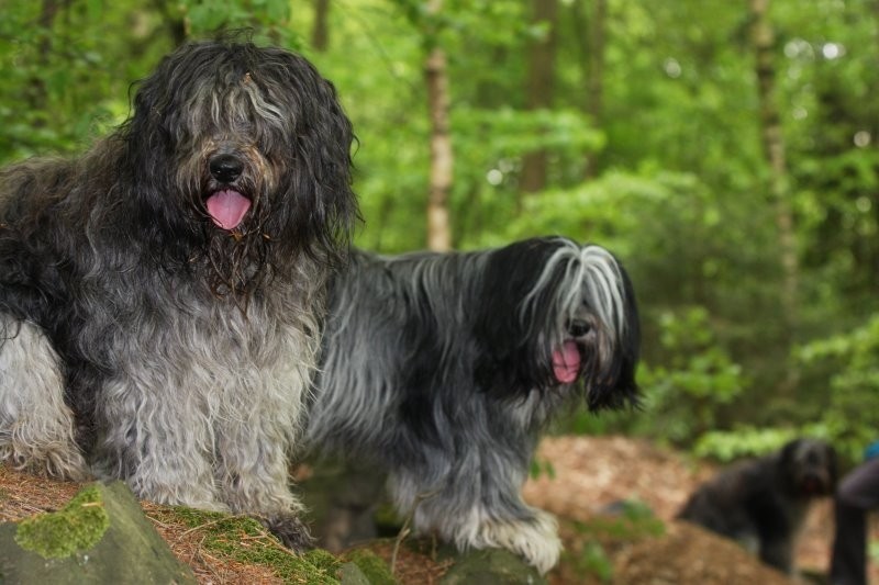 Tobi mit Caatje