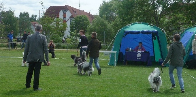 rechts Antje Bessie, Anna, Anton