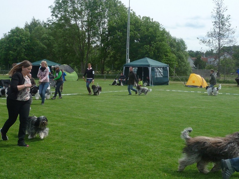 rechts Tobi, Caatje, Anton, Anna, Antje Bessie