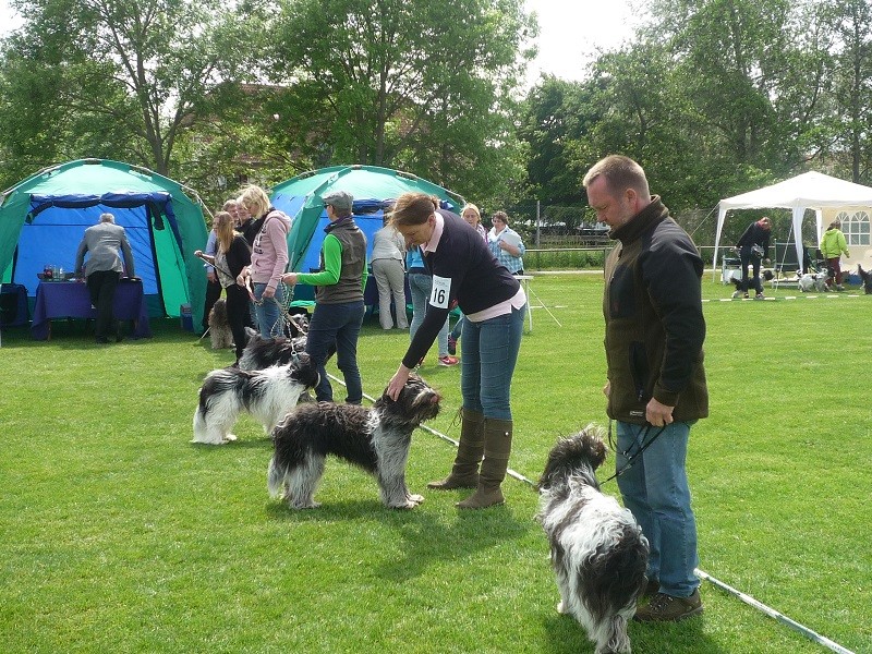 vorn Anna, Anton, Arthur