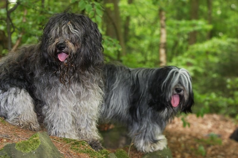 Tobi mit Caatje