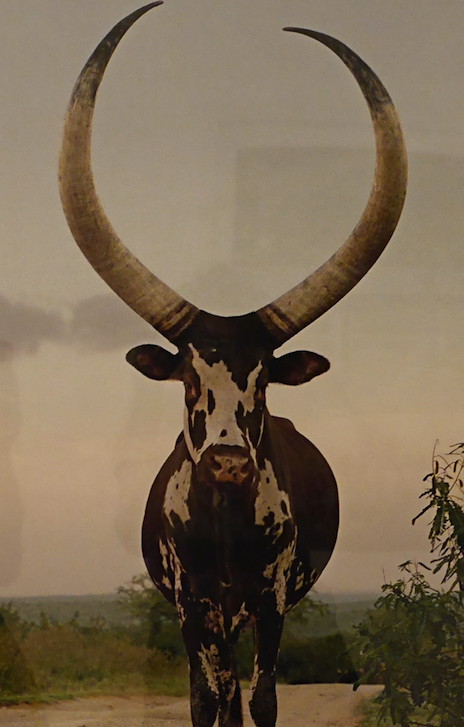 Seen at the Lyon Biennial, 2015