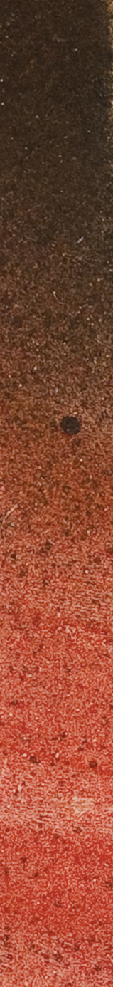 ALESSANDRO PESSOLI (Zucca, 2013, detail)