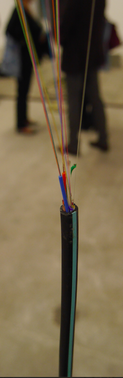 Lyon Biennial, 2015