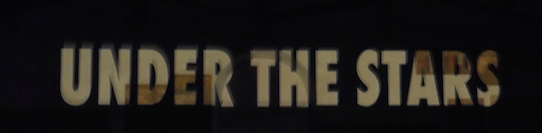 JENNY HOLZER, The Whole Truth (solo exhibition at Palazzo della Ragione, Bergamo, August 2019)