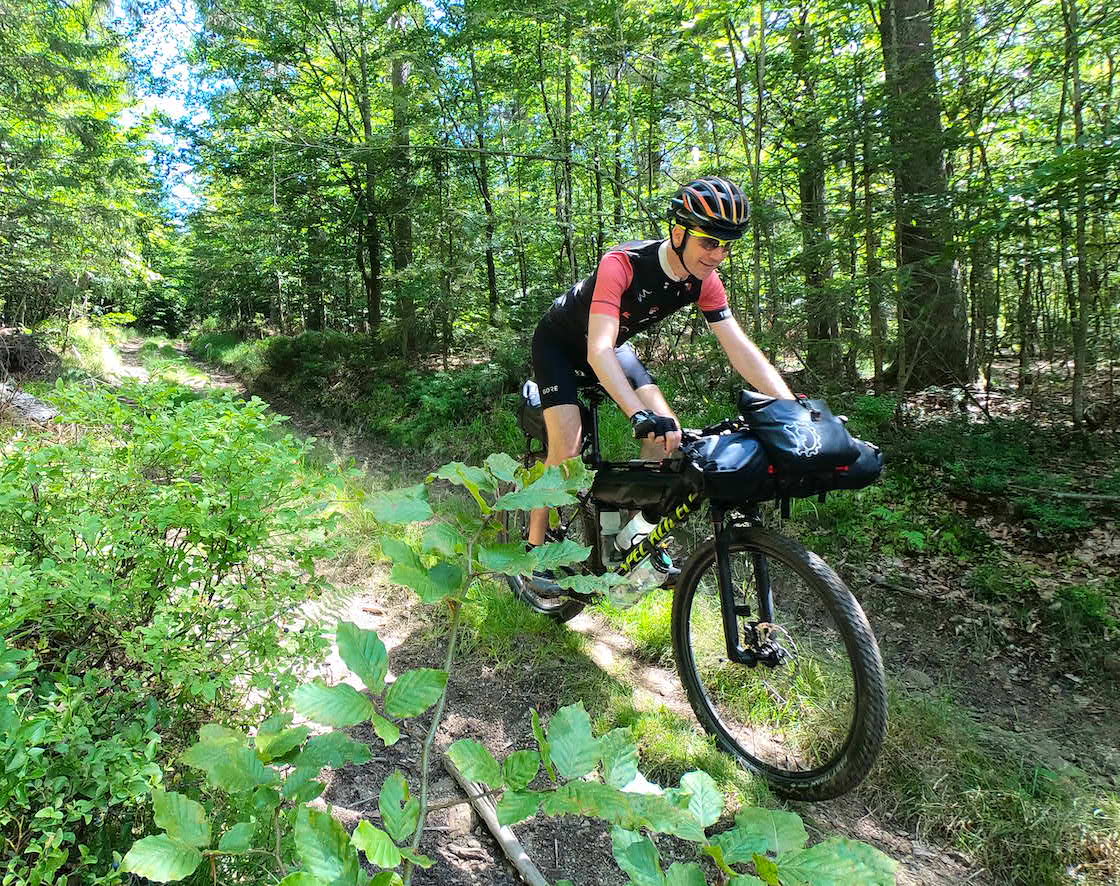 schöne Abfahrt im Wald vom Dreisessel