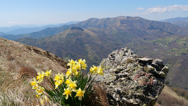 im Hintergrund: Monte Ramacetto