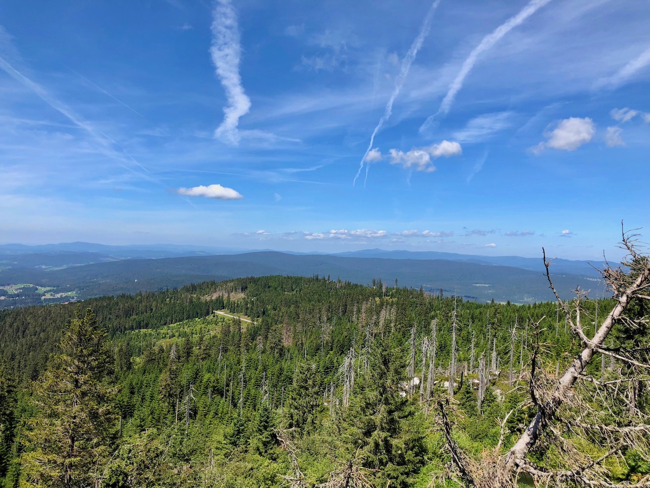 Blick vom Gipfel des Dreisessels nach Westen