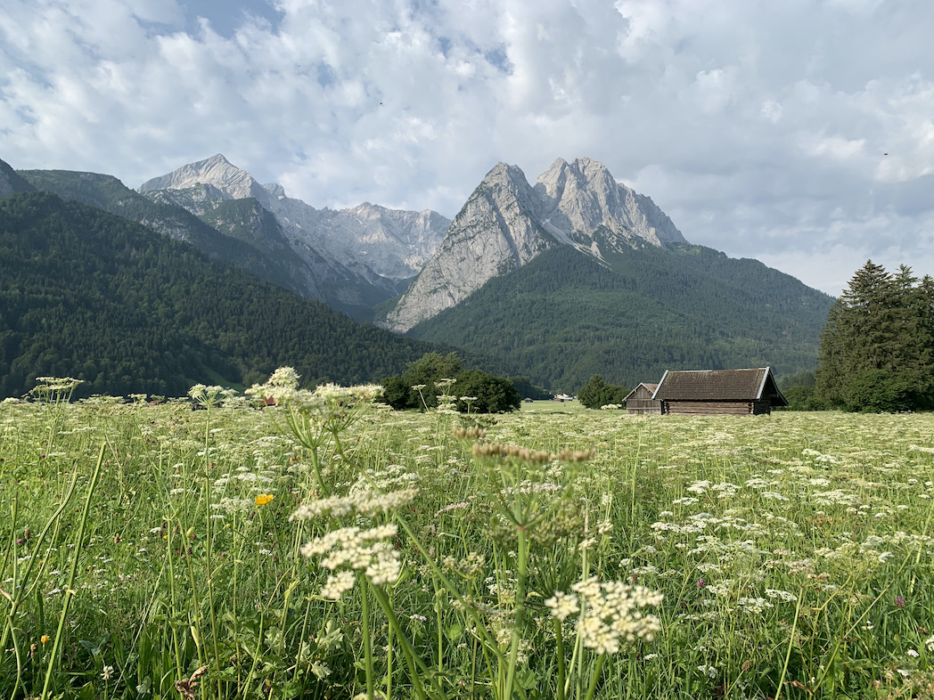 Berghuhn