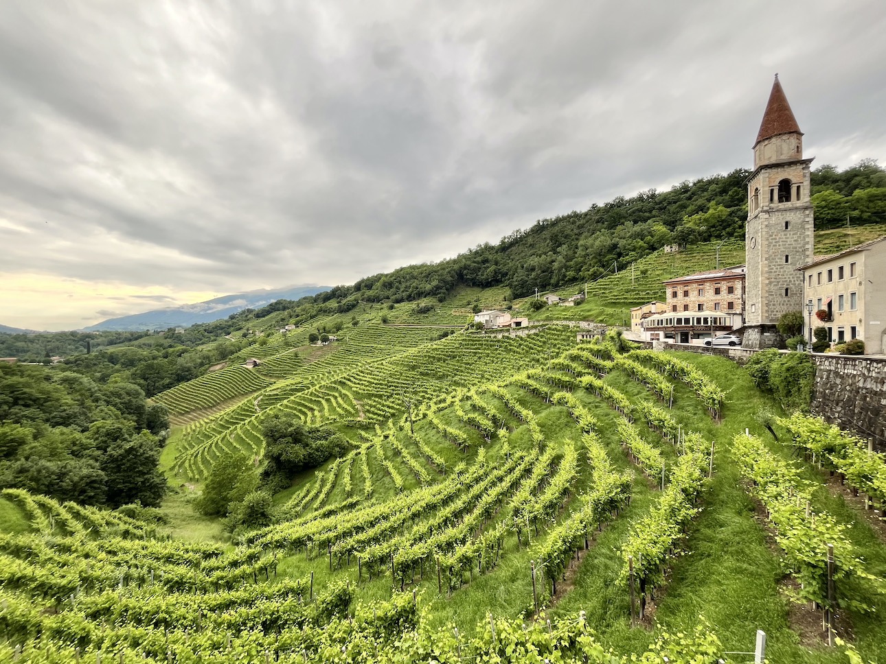 die berühmten Weinberge