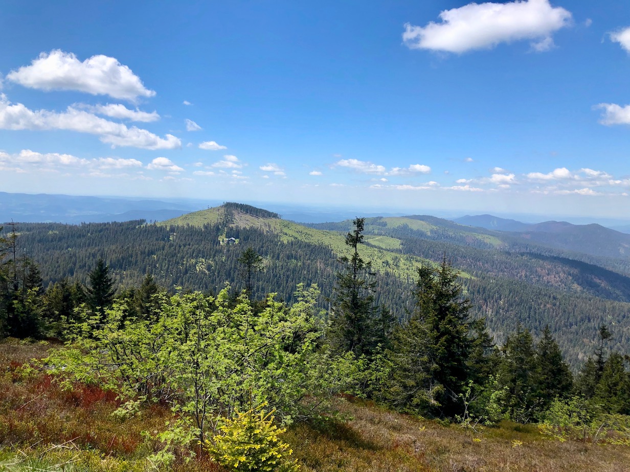 Großer Arber, Bayerischer Wald