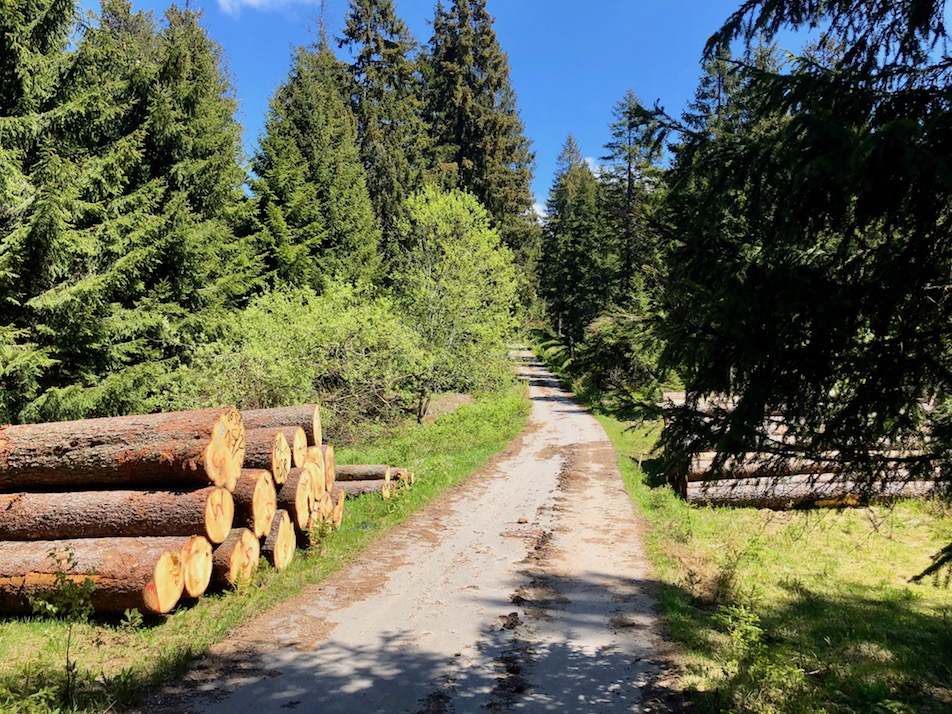 Großer Arber, Bayerischer Wald