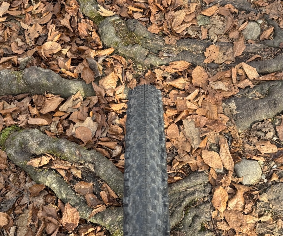 große Wurzeln auf dem Trail