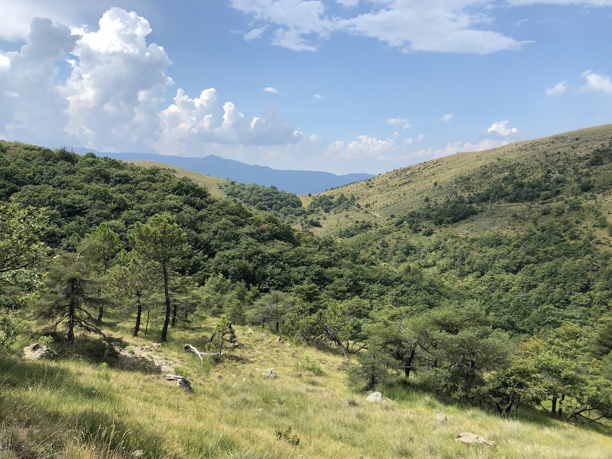 Parco Naturale delle Capanne di Marcarolo