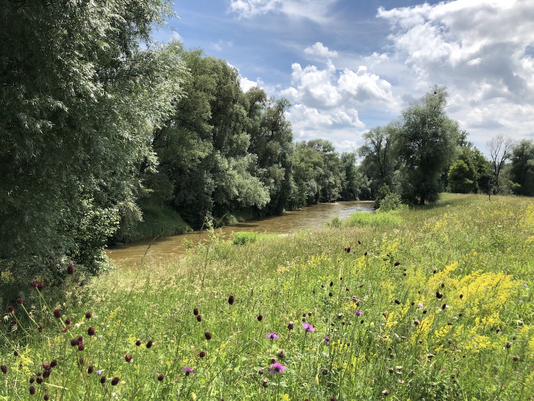 Blick auf die Ammer zwischen Ammersee und Weilheim