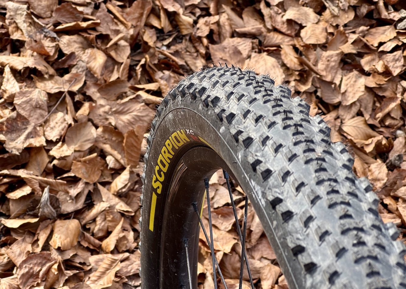 feines Profil des Scorpion XC RC