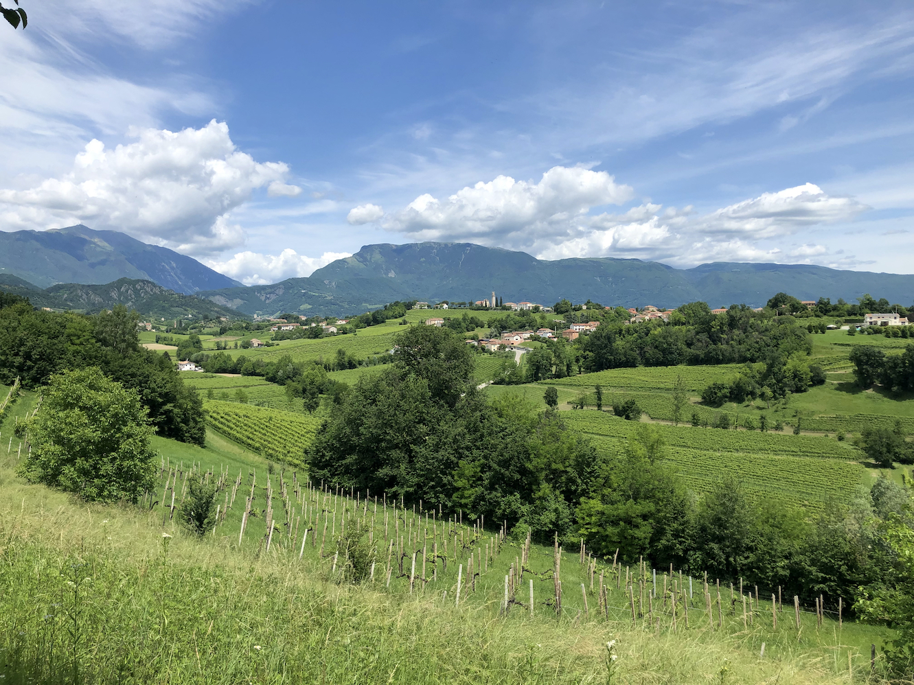 die ersten Weinberge der Prosecco-Region