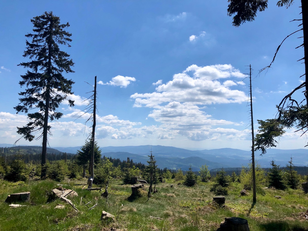 Auffahrt zum Großer Arber, Bayerischer Wald