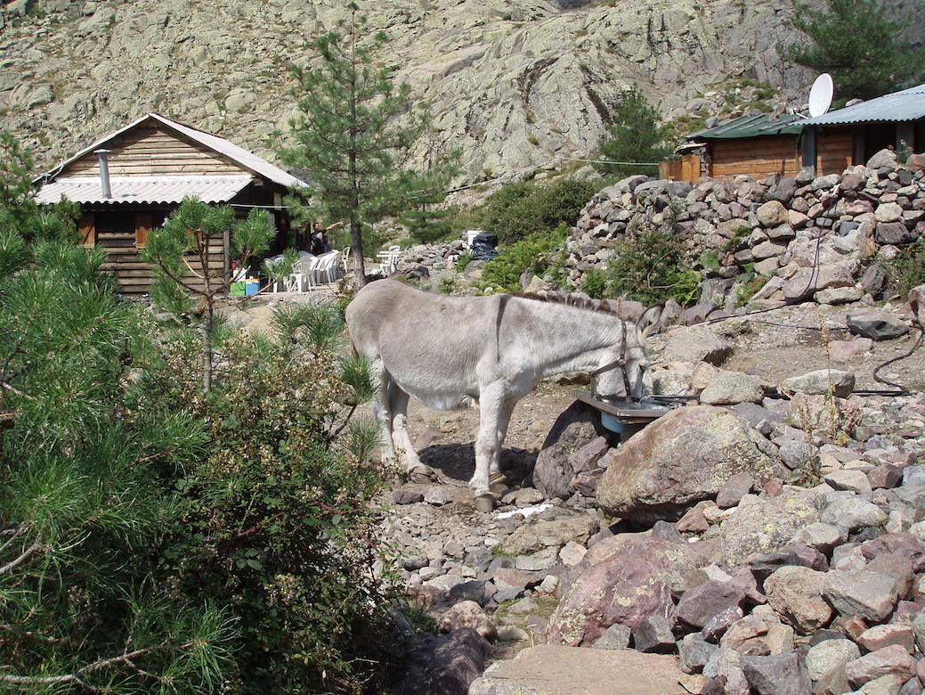 Bergeries de Ballone