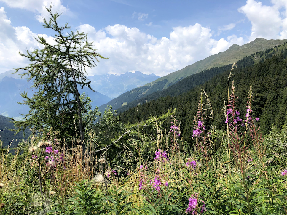 im Anstieg zum Jaufenpass