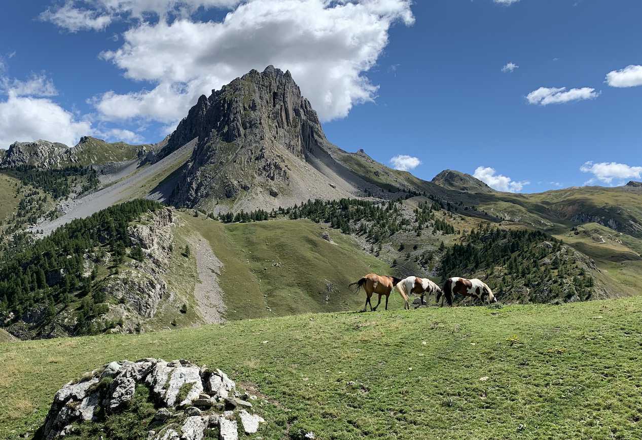 Beginn der Gardetta-Hochebene