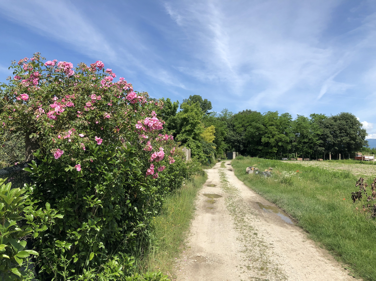 auf Nebenwegen in Richtung Berge