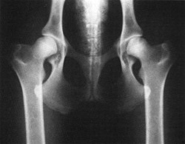 Das Röntgenbild zeigt den Zustand der Knochen und Gelenke von Hunden und Katzen