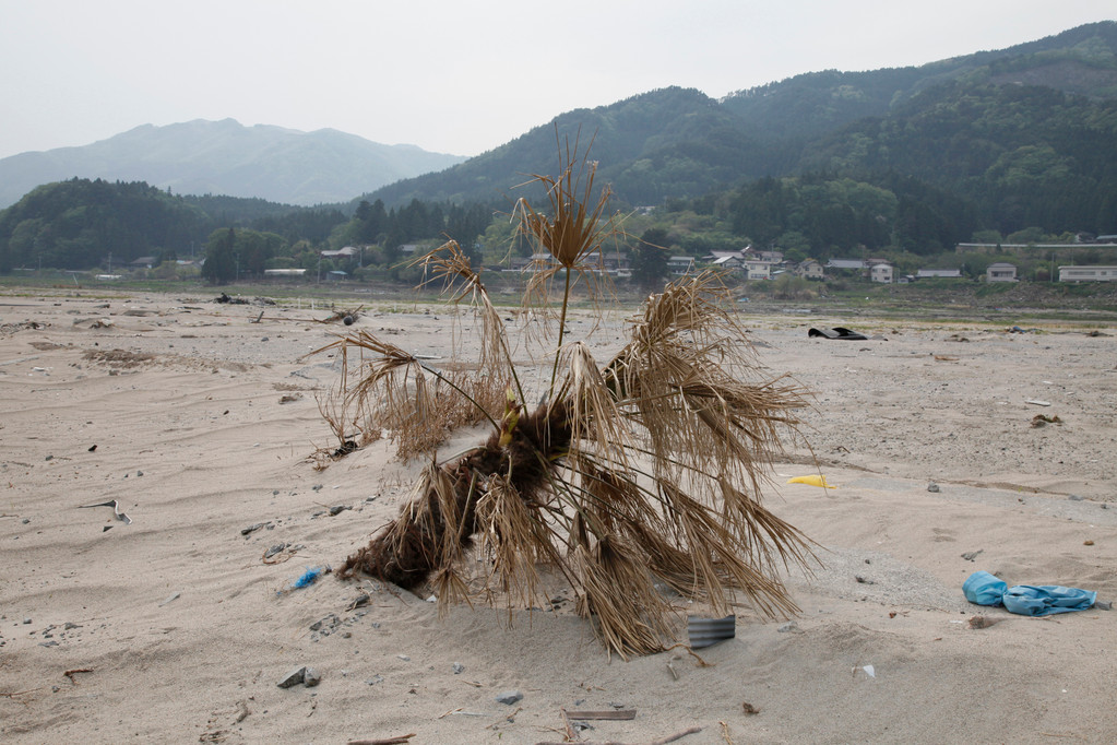 三陸町吉浜　吉浜海水浴場