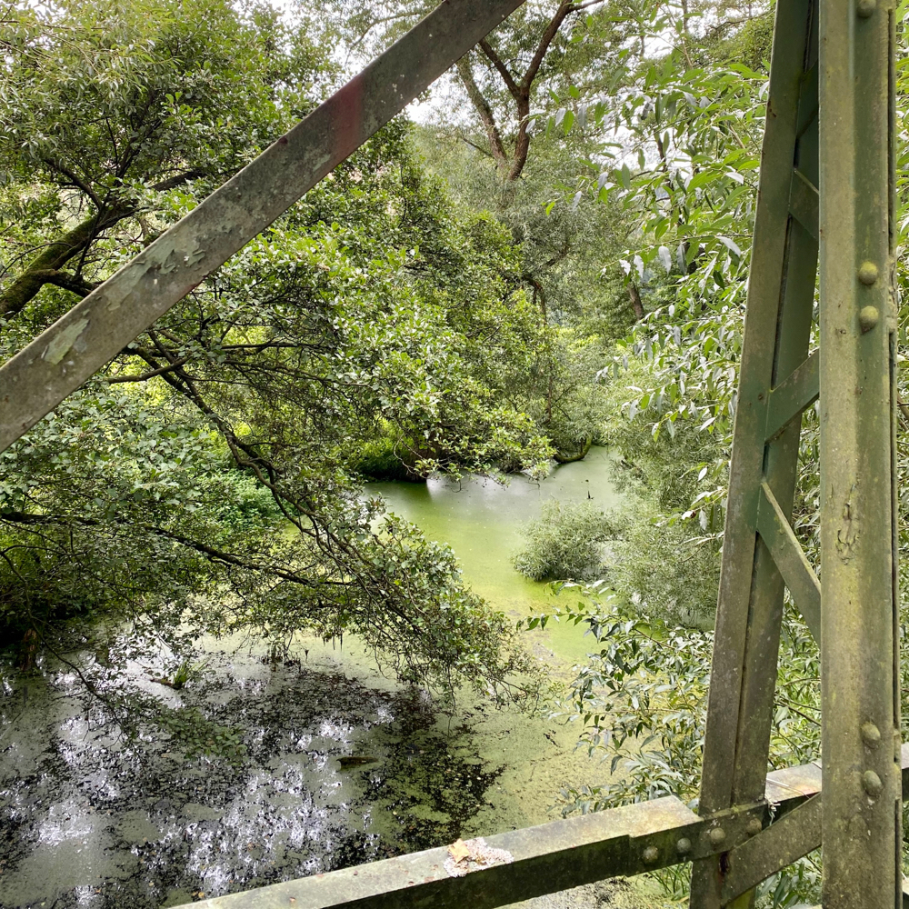 ein harmonisches Zusammenspiel zwischen Möhne und historischer Eisenbahnbrücke