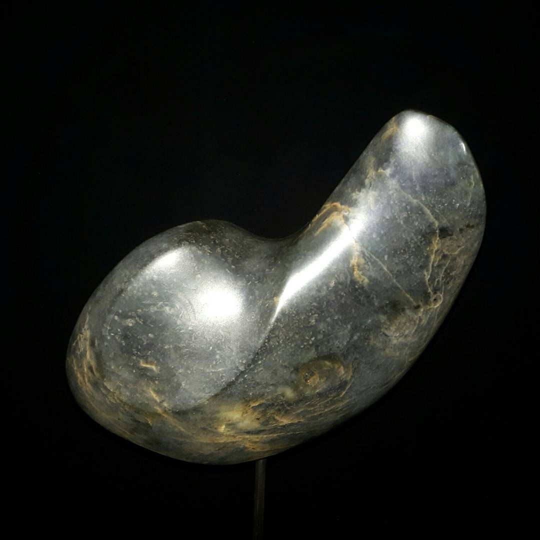 Universum