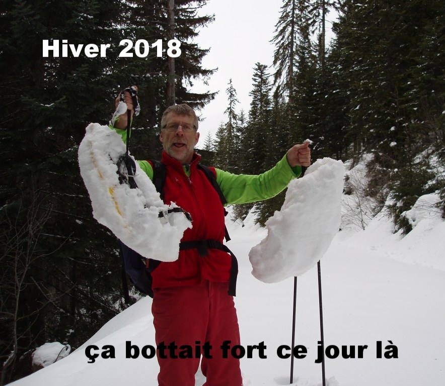 Raquette aventure sans chemin entre les sapins, neige lourde et collante dur mais que c'était beau!