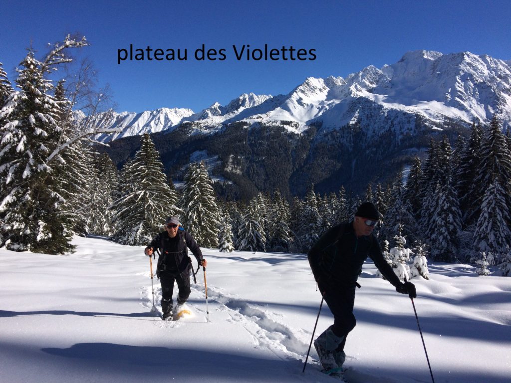 Vers le plateau des violettes dans Belledonne