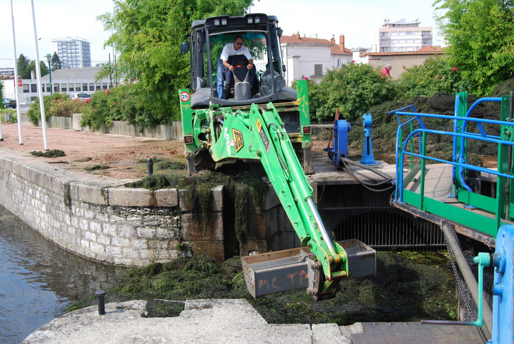 Algenalarm in Roanne