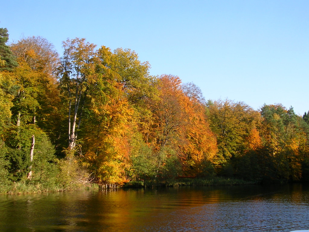 Herrliche Herbststimmung an der oberen Havelwasserstrasse