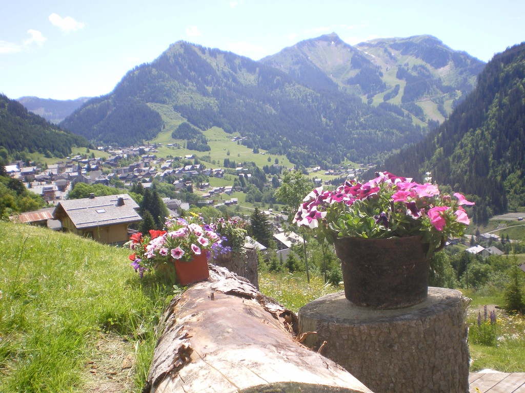 Vue chalet les Loups à Châtel